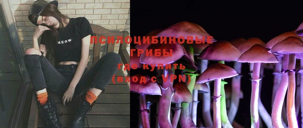 соль ск Надым