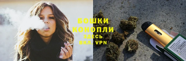 стафф Михайловск