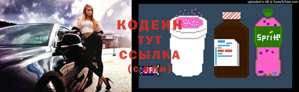 стафф Михайловск
