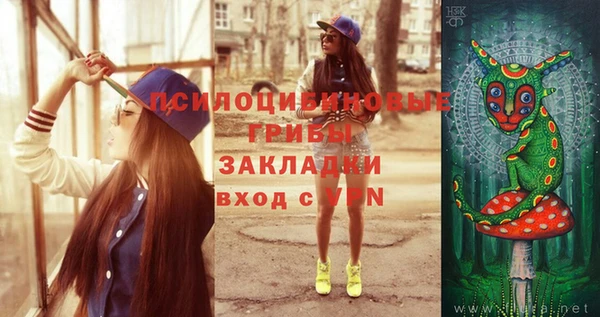 ПСИЛОЦИБИНОВЫЕ ГРИБЫ Наволоки
