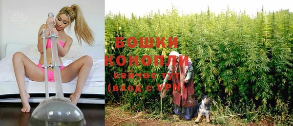 ПСИЛОЦИБИНОВЫЕ ГРИБЫ Наволоки